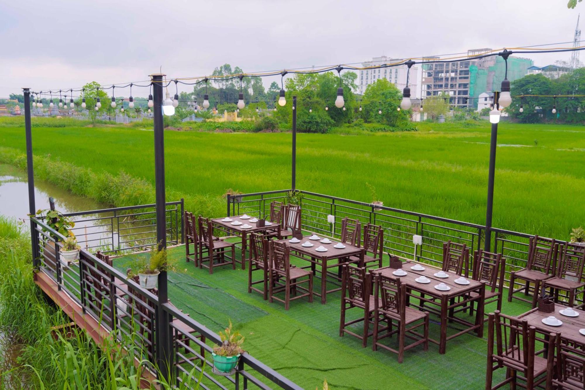 Appartement Papaya Bungalow & Rice Fields à Ninh Bình Extérieur photo