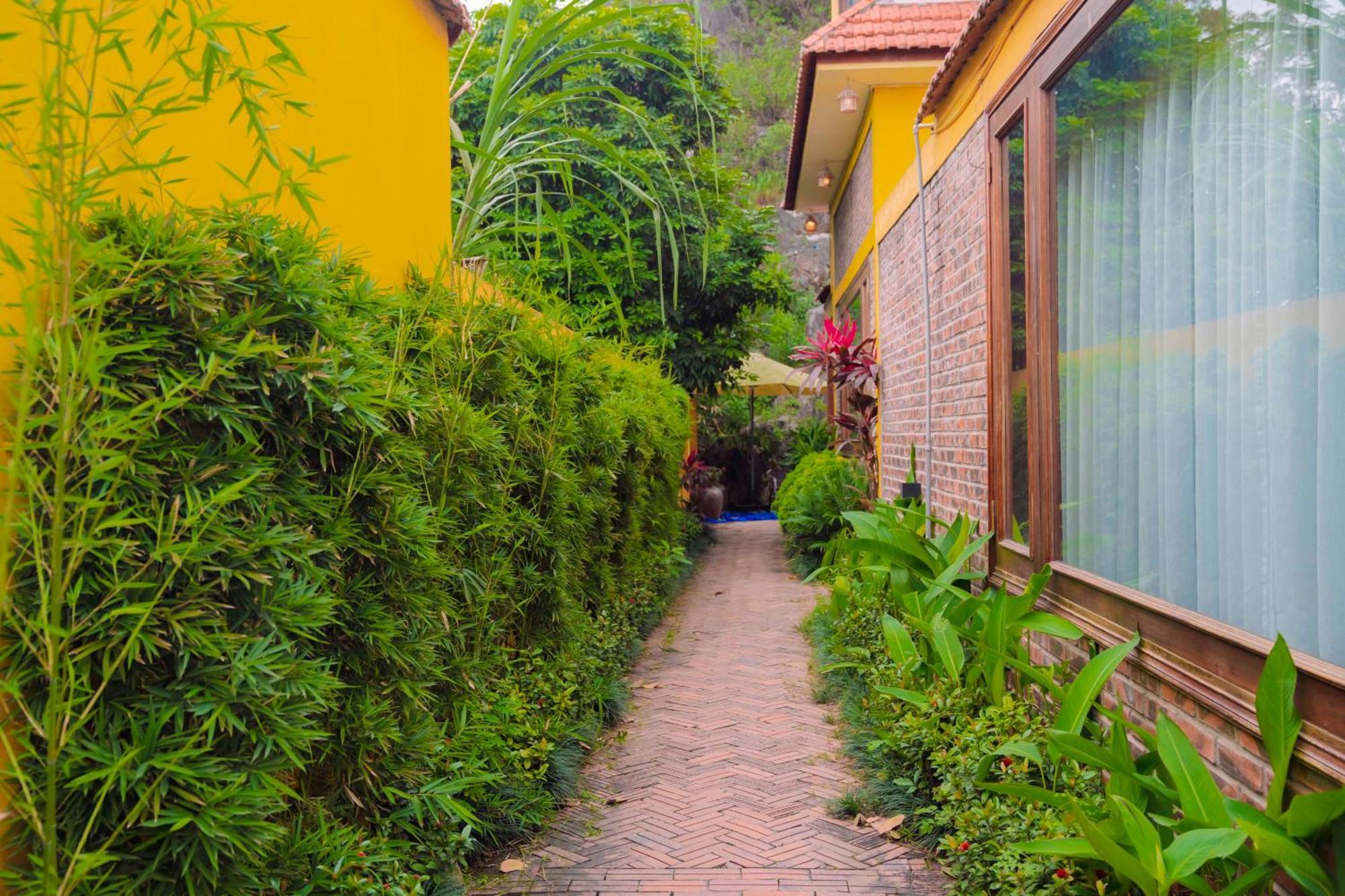 Appartement Papaya Bungalow & Rice Fields à Ninh Bình Extérieur photo